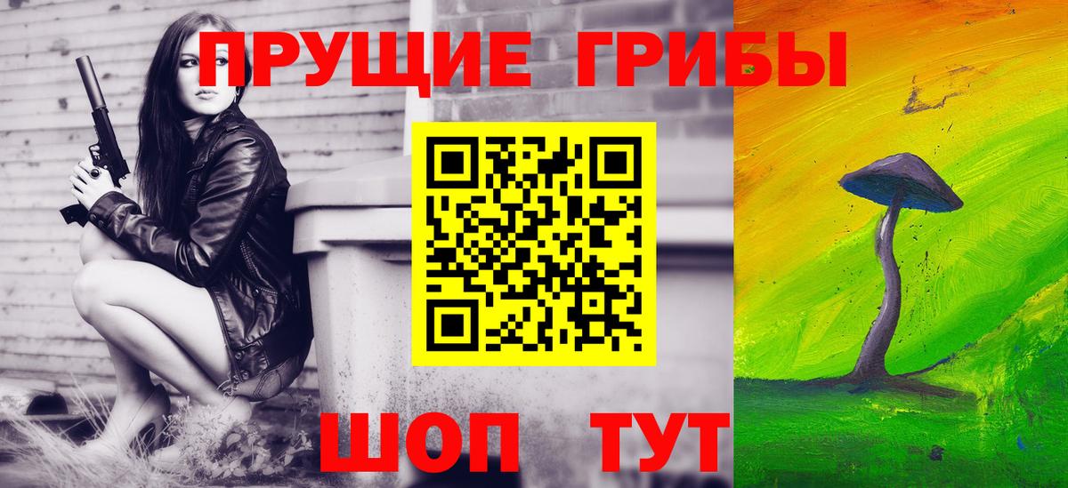 Псилоцибиновые грибы Psilocybine cubensis  Вход с VPN  Малгобек 